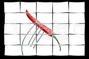 red chili pepper on a fork