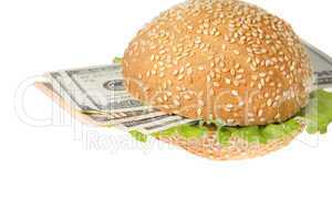 Hamburger with money