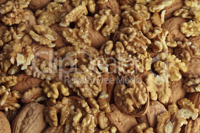 Walnut kernel.