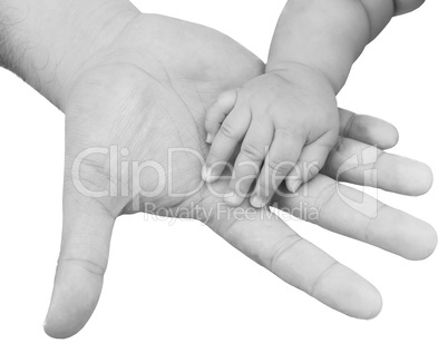 adult hand holding a baby hand closeup, black and white