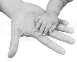 adult hand holding a baby hand closeup, black and white