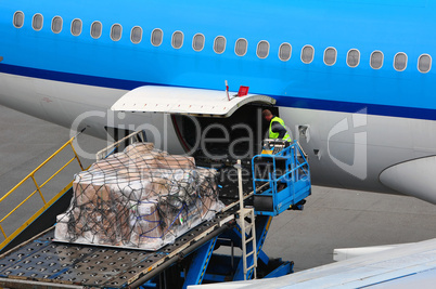 Airplane loading cargo.