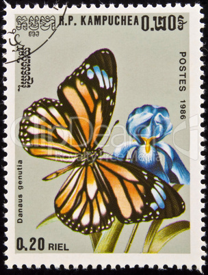 Stamp, butterfly on flower.
