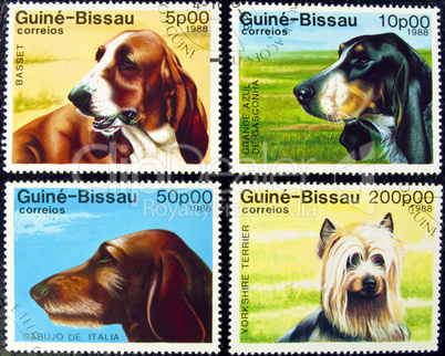 Collection of dog stamps.