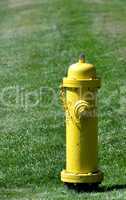 Prevention: yellow fire hydrant.