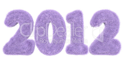 2012 written with purple hair