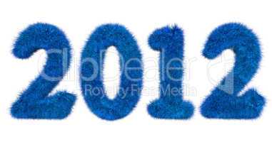 hairy lettering 2012 in blue