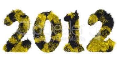 hairy lettering 2012 in black and yellow
