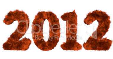 hairy lettering 2012 in red orange
