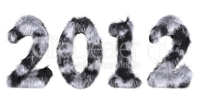 hairy lettering 2012 in stained black and white
