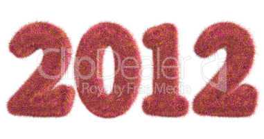 hairy lettering 2012 in colorful red