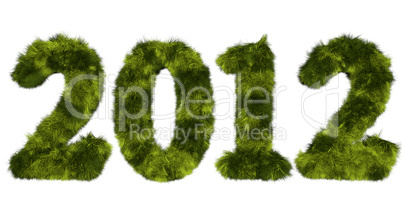 hairy lettering 2012 in grassy green