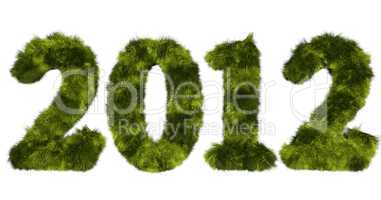 hairy lettering 2012 in grassy green