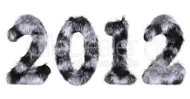 hairy lettering 2012 in black and white