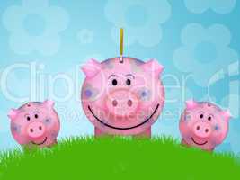 Pig moneybox