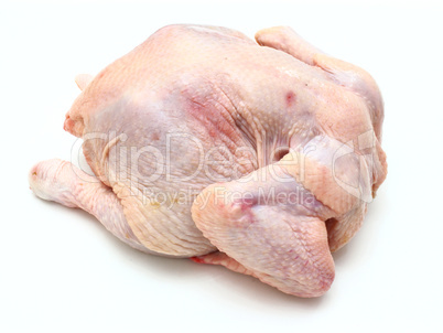 Carcass of the whole chicken