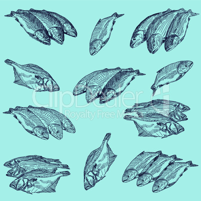 Set fresh sea fishes lie nearby on a white background