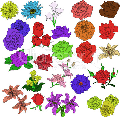 Set of  in hand drawn style roses. Vector EPS 10 illustration.