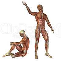Muskelaufbau Mann stehend und sitzend