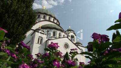 Temple of St Sava - purple flowers