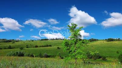 spring landscape