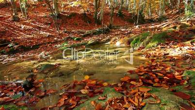 autumn mountain small river
