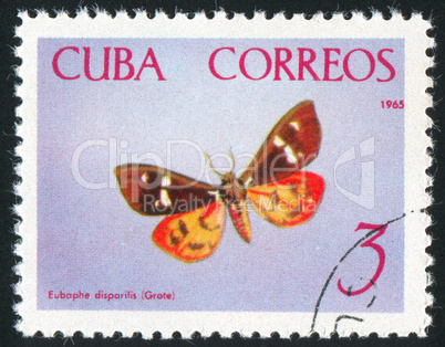 poststamp butterfly