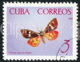 poststamp butterfly