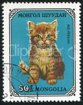 poststamp Cat