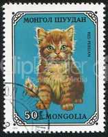 poststamp Cat