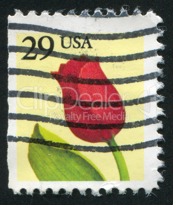 stamp tulip