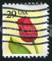 stamp tulip