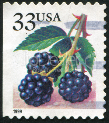 blackberries