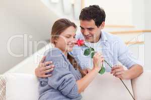 Young man offering a rose to his fiance