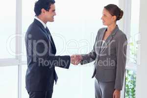 Side view of business partner shaking hands