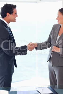 Side view of business people welcoming each other