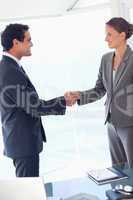 Side view of business partner agreeing on a deal