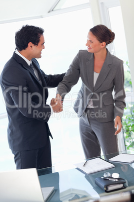 Business partner shaking hands after closing a deal
