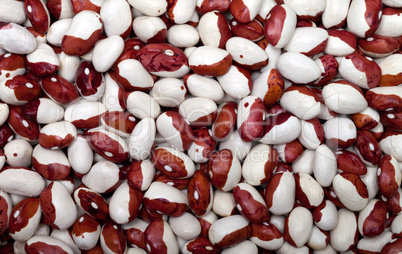 Haricot beans background