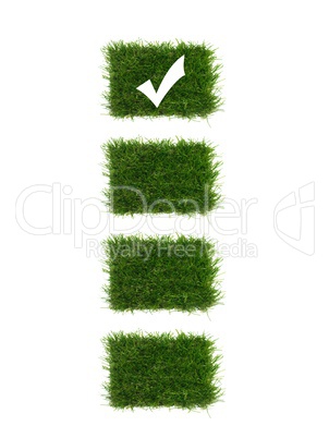 Artificial Grass