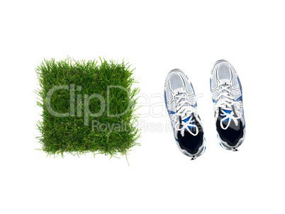 Artificial Grass