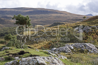 rural landscape in the scottish highlands