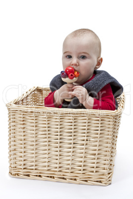 toddler in wickerbasket