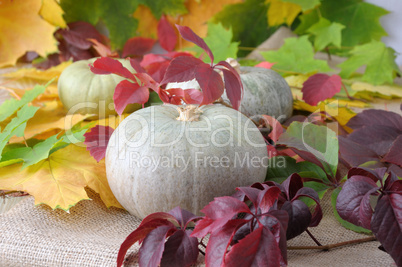 Pumpkins of autumn leaves