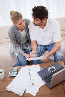 Portrait of a young couple doing their accounting with a noteboo