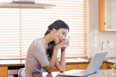 Lovely woman using a laptop while drinking a cup of a tea