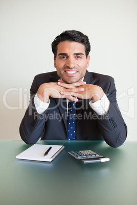 Portrait of an accountant posing