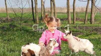 child and two little goats