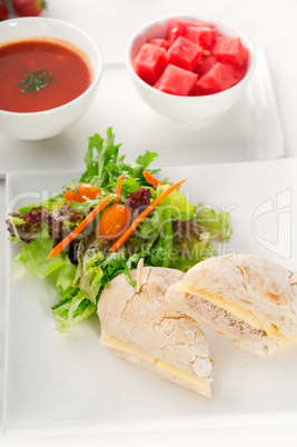 tuna and cheese sandwich with salad