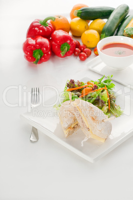 tuna and cheese sandwich with salad